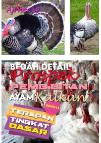 BUKU TERAPAN TINGKAT DASAR: Bedah Detail Pembibitan  AYAM KALKUN