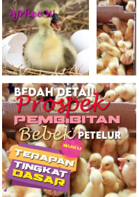 BUKU TERAPAN TINGKAT DASAR: Bedah Detail Pembibitan Bebek Petelur 