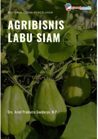 Agribisnis Labu Siam