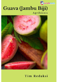 AGRIBISNIS GUAVA