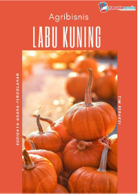 Agribisnis Labu Kuning