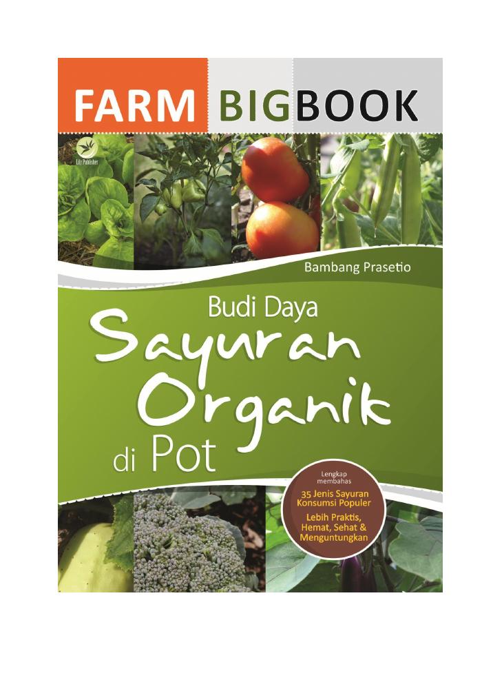 Farm Bigbook Budi Daya Sayuran Organik Di Pot