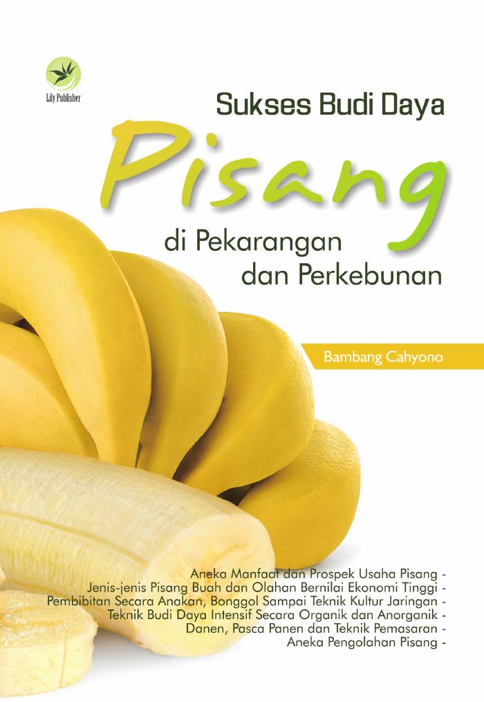 Sukses Budi Daya Pisang Di Pekarangan Dan Perkebunan