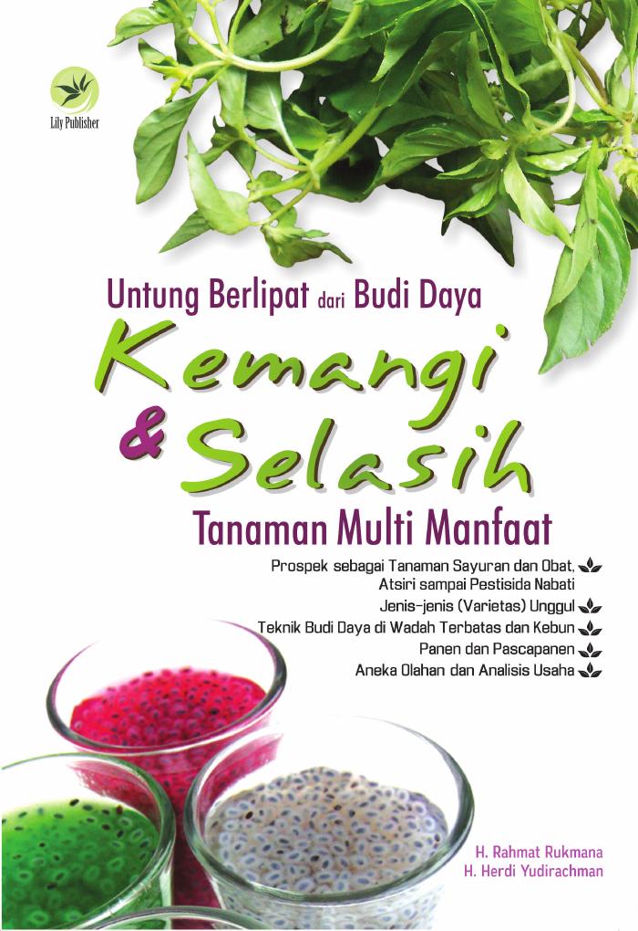 Untung Berlipat Dari Budi Daya Kemangi Dan Selasih, Tanaman Multi Manfaat