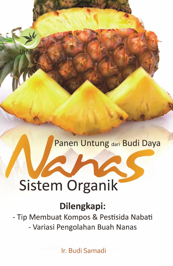Panen Untung Dari Budi Daya Nanas Sistem Organik