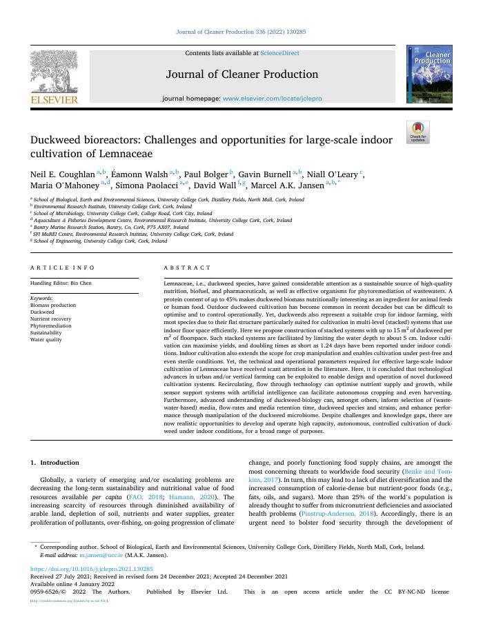Duckweed bioreactors: Challenges and opportunities for large-scale indoor cultivation of Lemnaceae