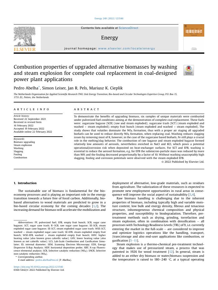 Combustion properties of upgraded alternative biomasses by washing and steam explosion for complete coal replacement in coal-designed power plant applications
