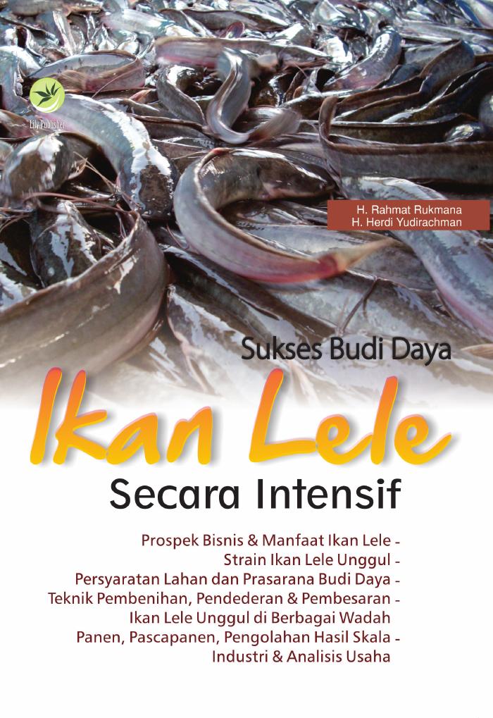 Sukses Budi Daya Ikan Lele Secara Intensif