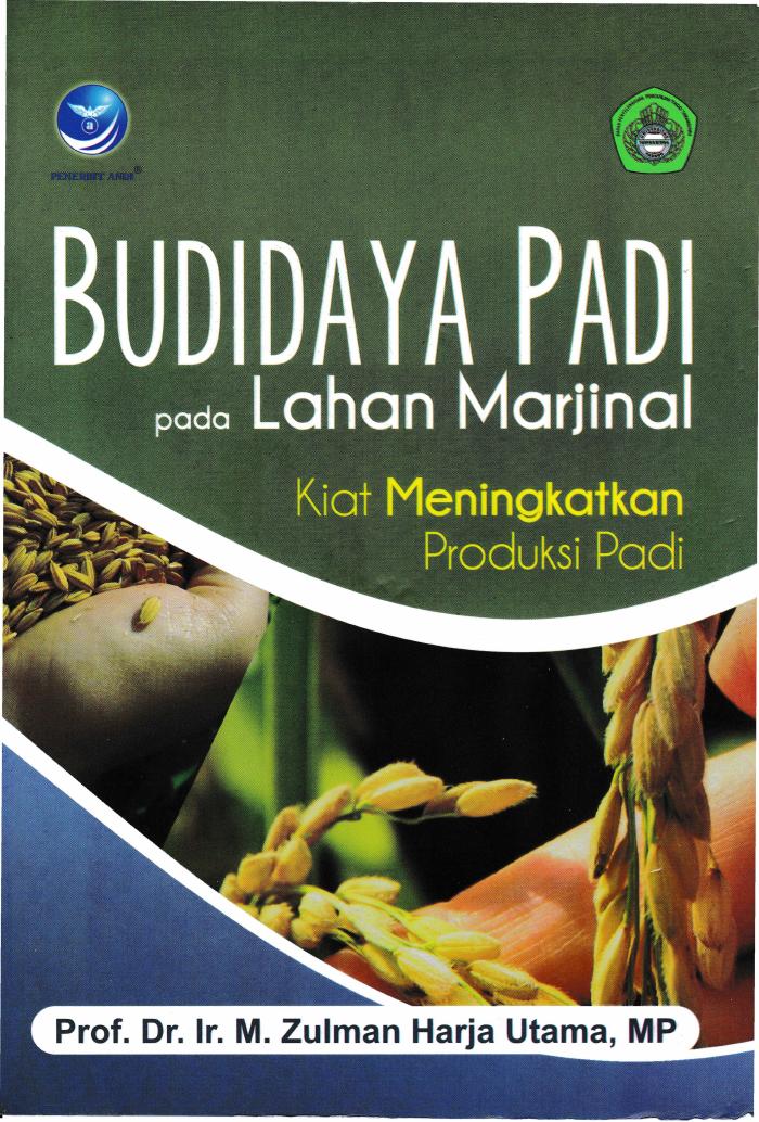 Budidaya Padi Pada Lahan Marjinal, Kiat Meningkatkan Produksi Padi