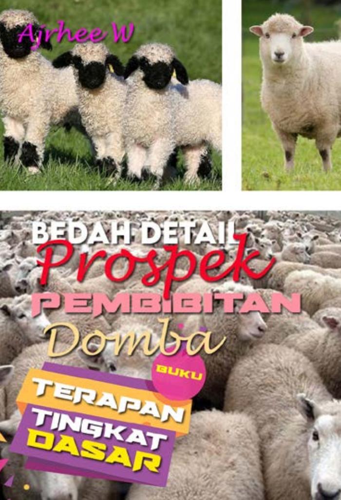 BUKU TERAPAN TINGKAT DASAR : Bedah Detail Pembibitan Domba