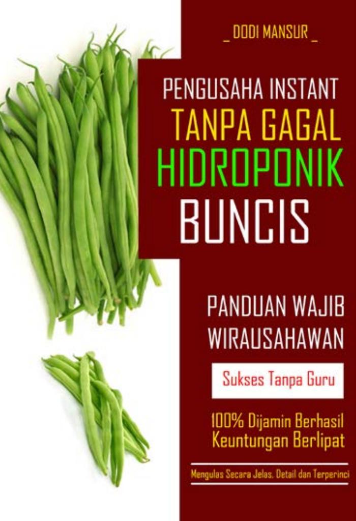 HIDROPONIK BUNCIS