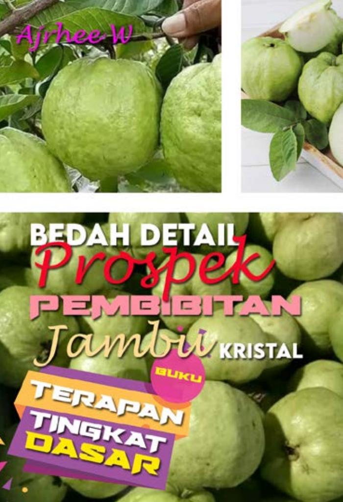 BUKU TERAPAN TINGKAT DASAR : Bedah Detail Pembibitan Jambu Kristal
