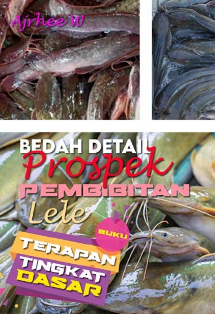 BUKU TERAPAN TINGKAT DASAR : Bedah Detail Pembibitan Ikan Lele
