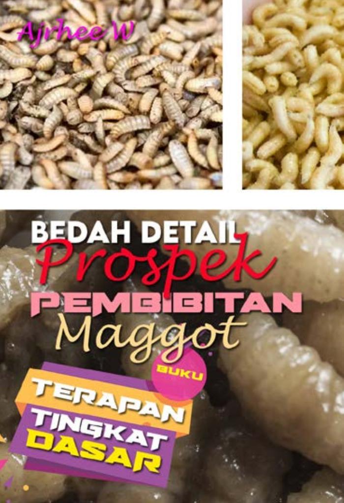 BUKU TERAPAN TINGKAT DASAR : Bedah Detail Prospek Pembibitan MAGGOT