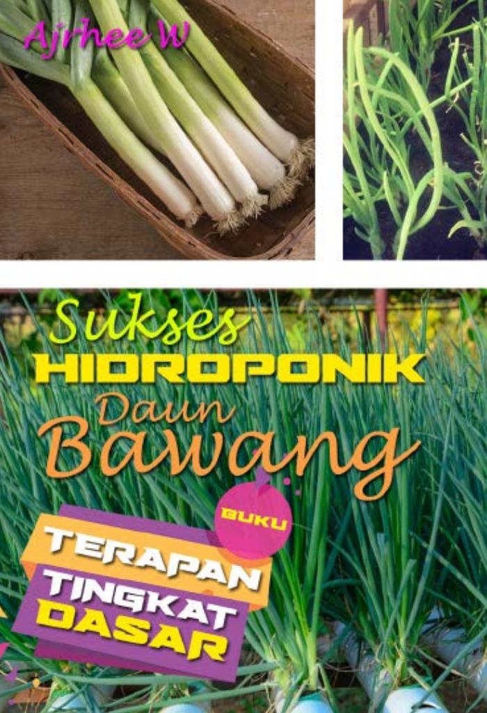 HIDROPONIK DAUN BAWANG