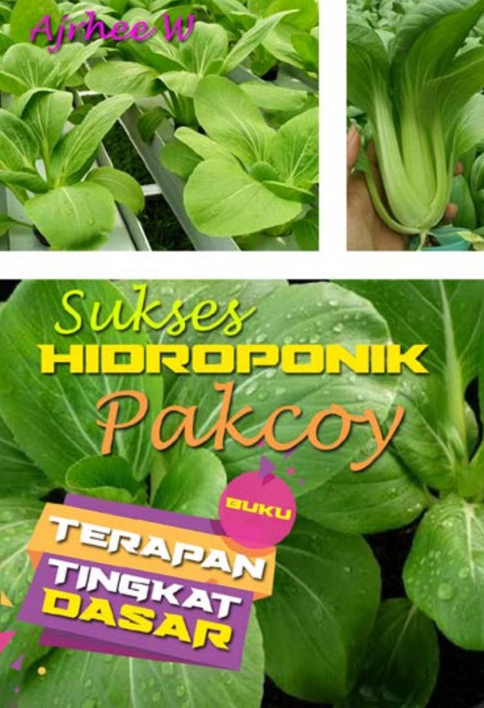 HIDROPONIK PAKCOY