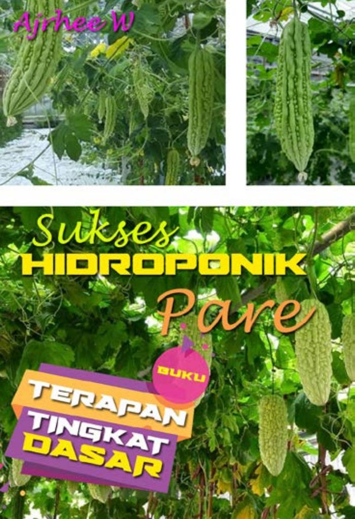 HIDROPONIK PARE