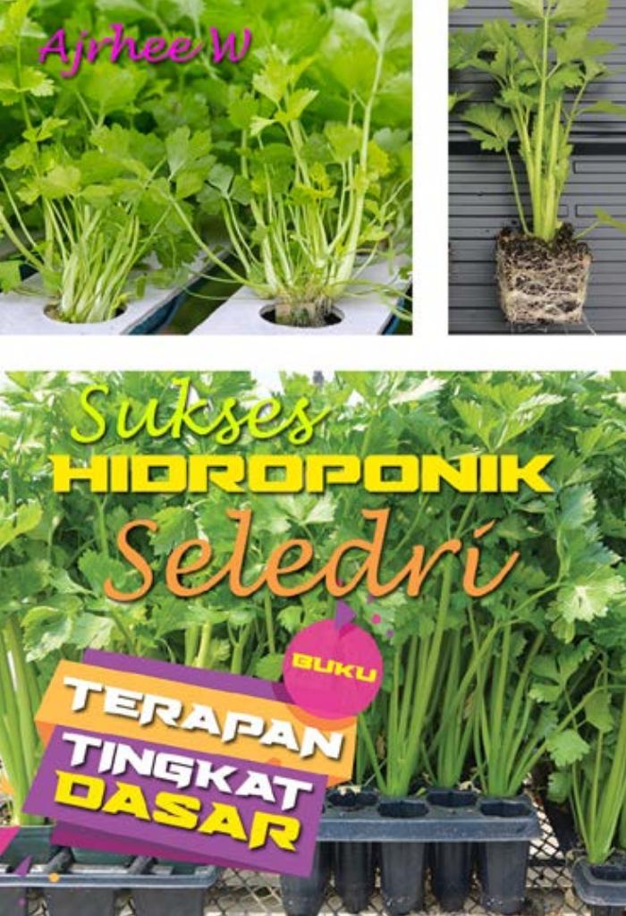 HIDROPONIK SELEDRI
