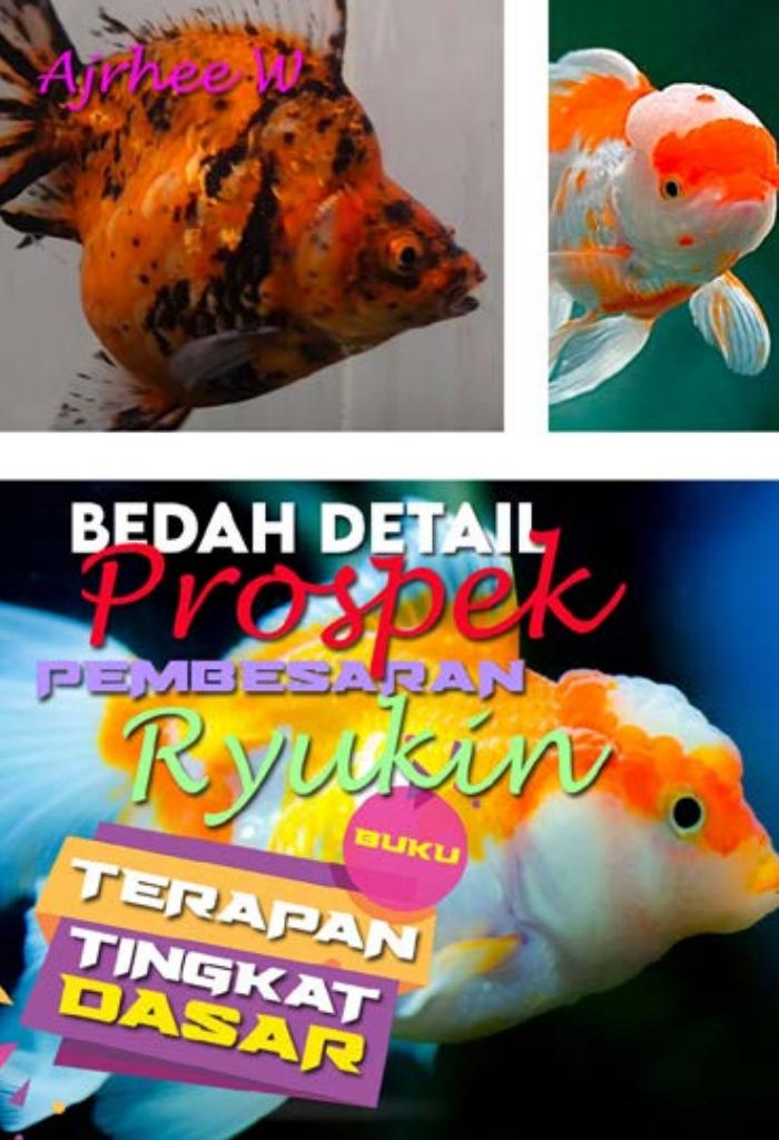 BUKU TERAPAN TINGKAT DASAR: Bedah Detail Pembesaran  Koki Ryukin