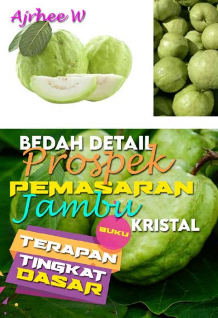 BUKU TERAPAN TINGKAT DASAR: Bedah Detail Pemasaran Jambu Kristal