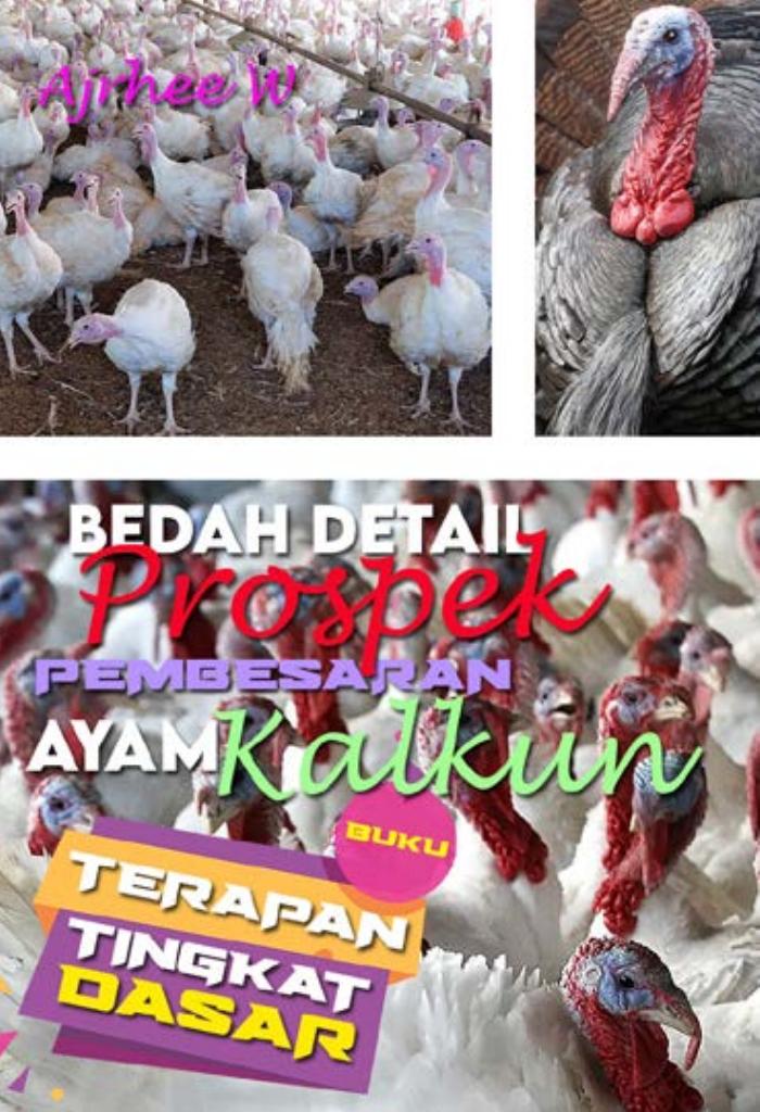 BUKU TERAPAN TINGKAT DASAR: Bedah Detail Pembesaran AYAM KALKUN