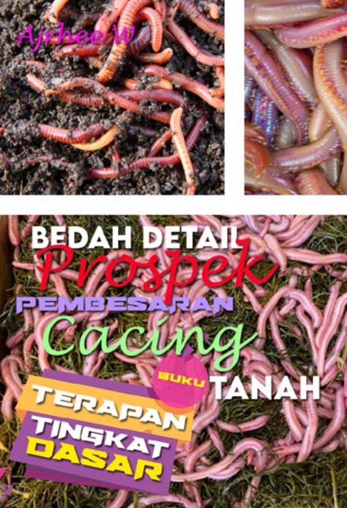 BUKU TERAPAN TINGKAT DASAR: Bedah Detail Pembesaran Cacing Tanah