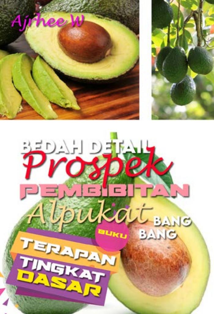 BUKU TERAPAN TINGKAT DASAR: Bedah Detail Pembibitan Alpukat Bang Bang