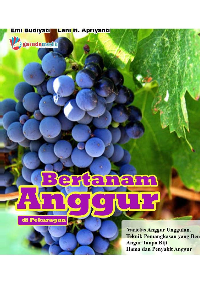 Bertanam Anggur di Pekarangan
