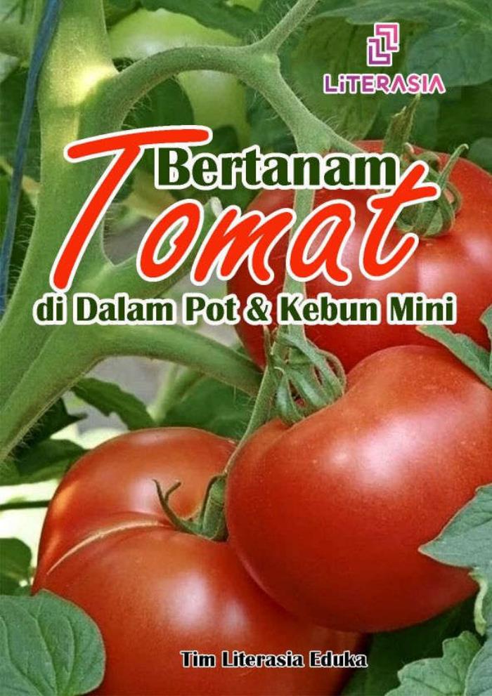 Bertanam TOMAT di Dalam Pot dan Kebun Mini