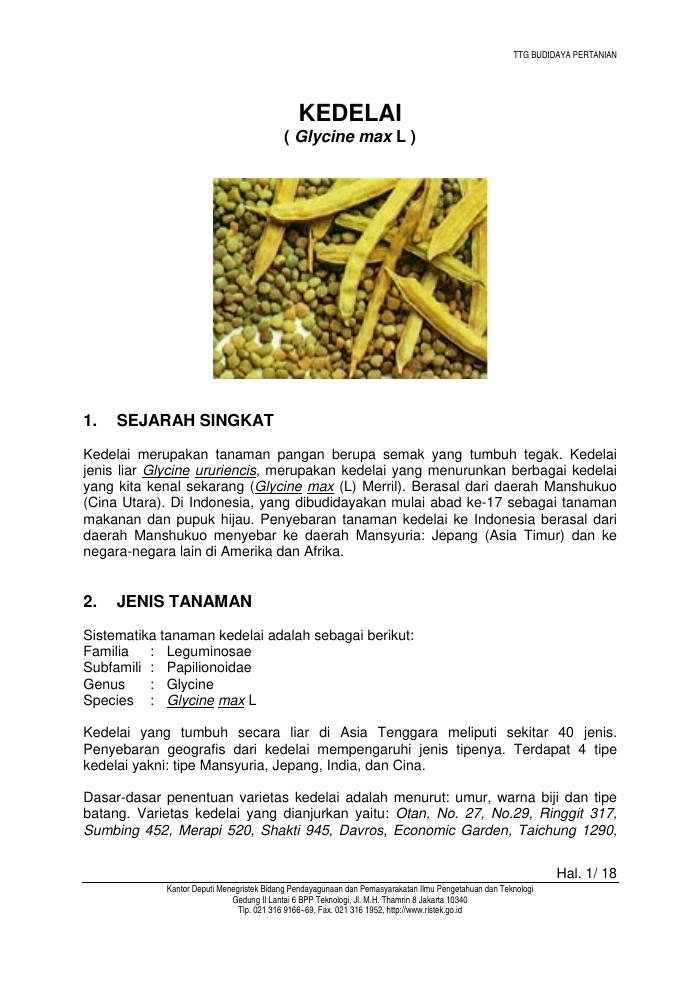 Budidaya Kedelai