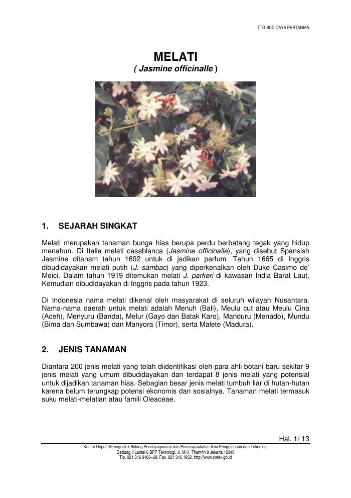 Budidaya Melati