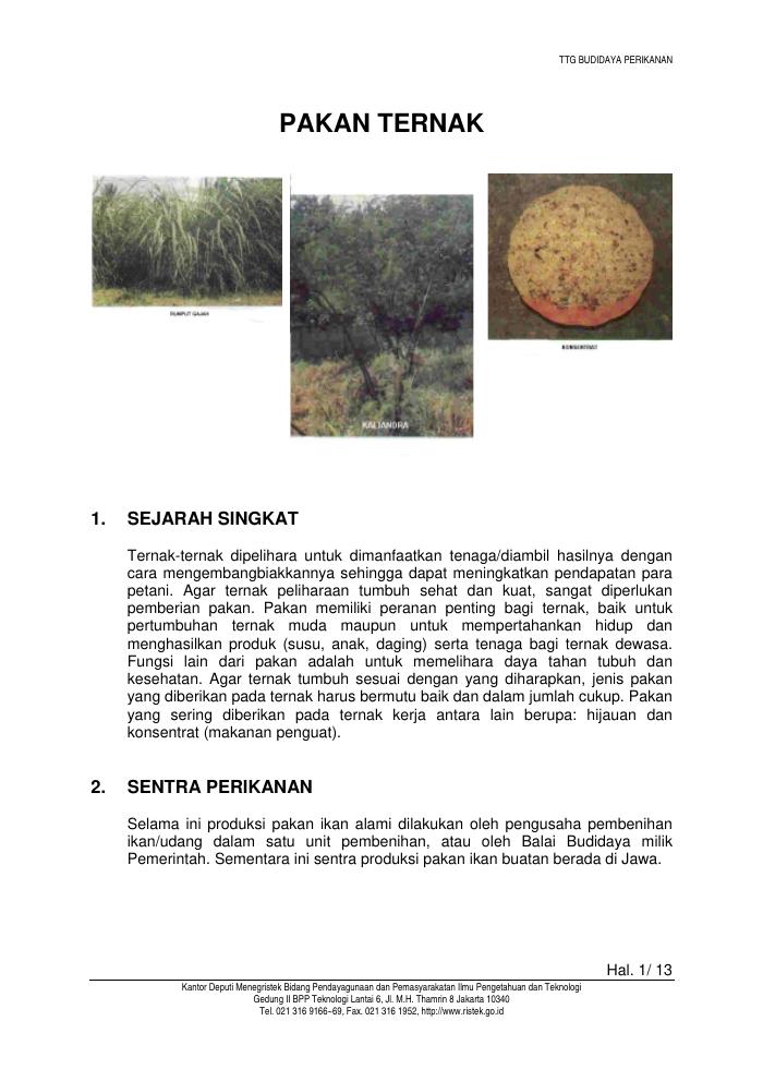 Budidaya Pakan Ternak