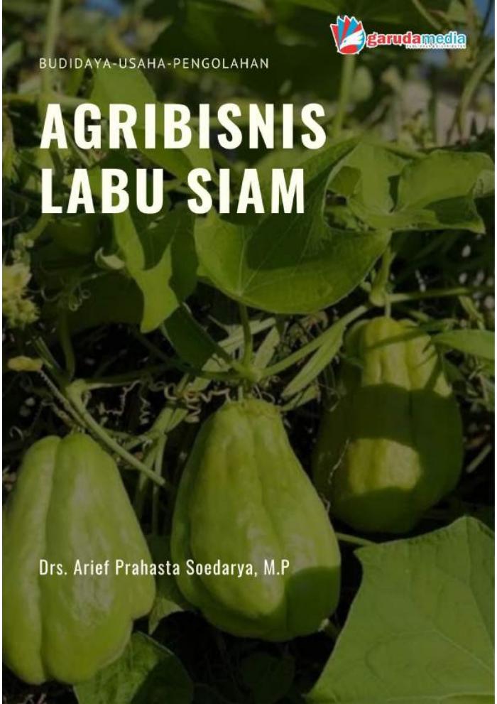 Agribisnis Labu Siam