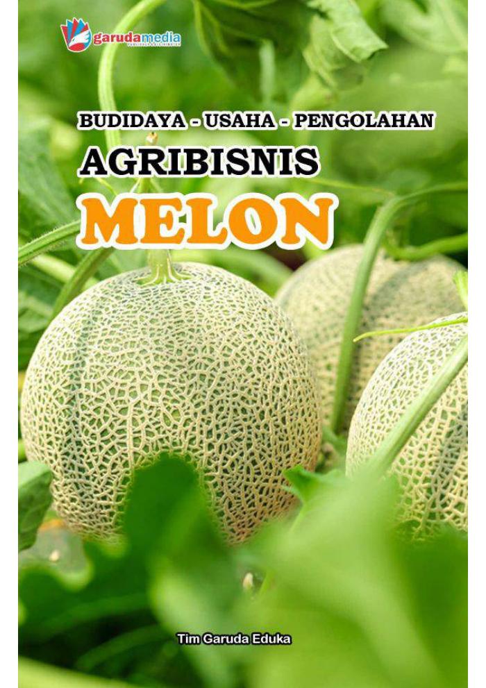 Agribisnis Melon