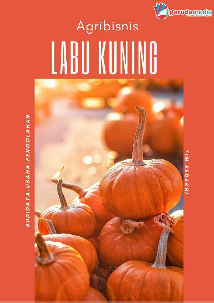Agribisnis Labu Kuning