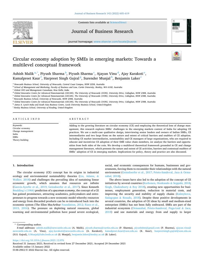 Circular economy adoption by SMEs in emerging markets: Towards a multilevel conceptual framework
