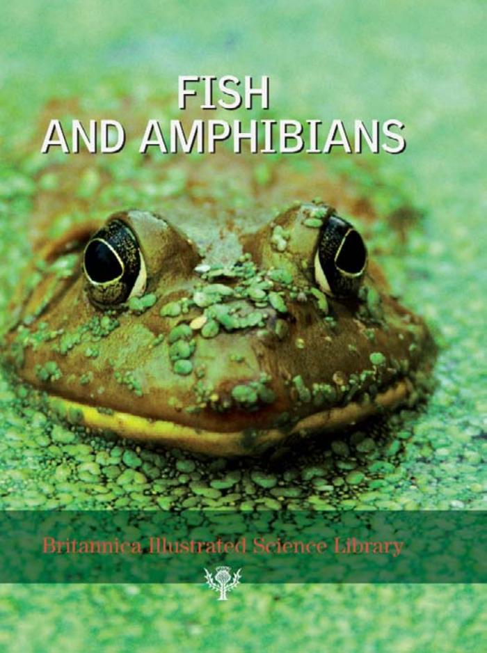 Britannica Illustrated Science Library : FISH AND AMPHIBIANS