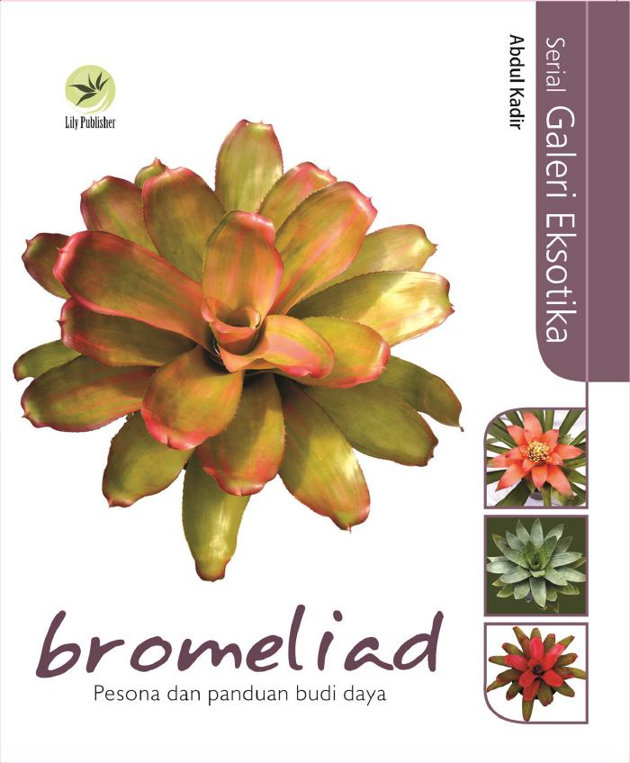 Serial Galeri Eksotika Bromeliad