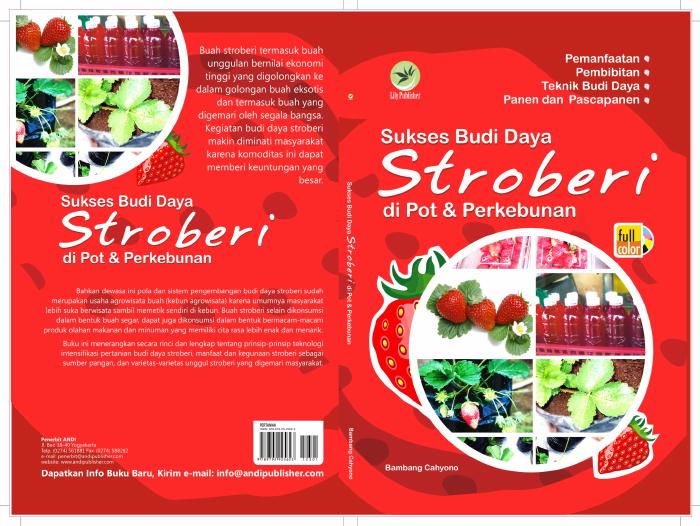 Sukses Budi Daya Stroberi Di Pot &amp; Perkebunan
