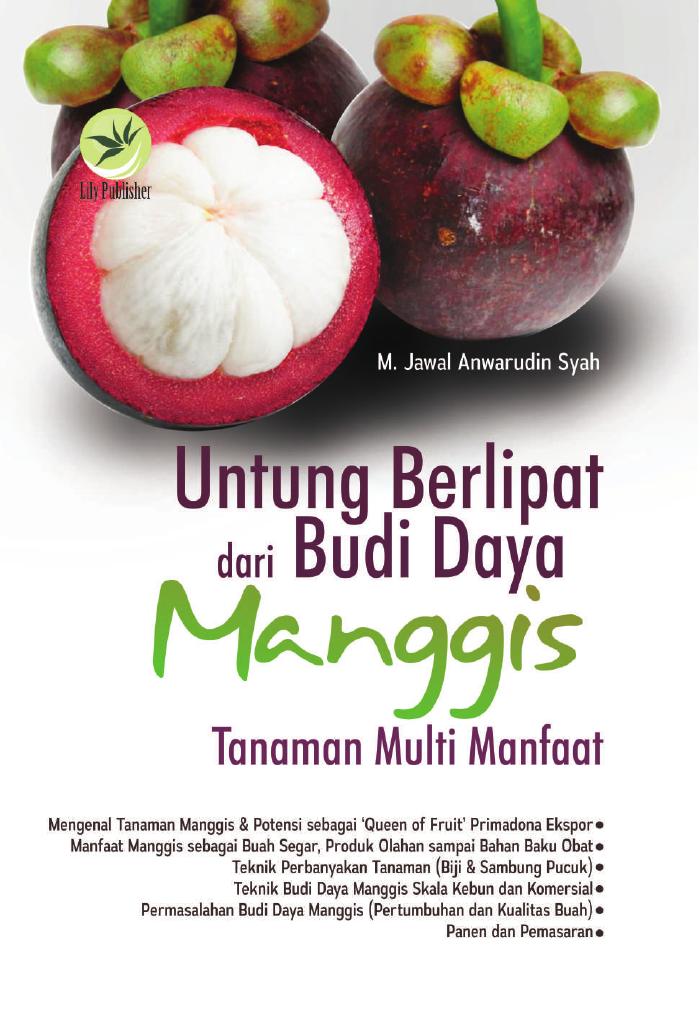Untung Berlipat Dari Budi Daya Manggis Tanaman Multi Manfaat