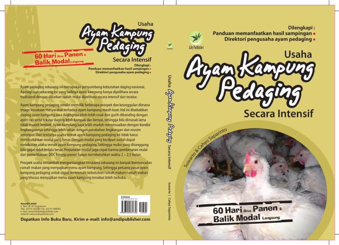 Usaha Ayam Kampung Pedaging