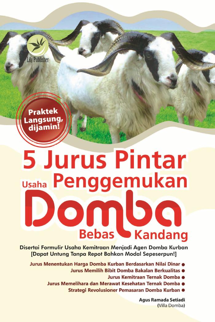 5 Jurus Pintar Usaha Penggemukan Domba Bebas Kandang