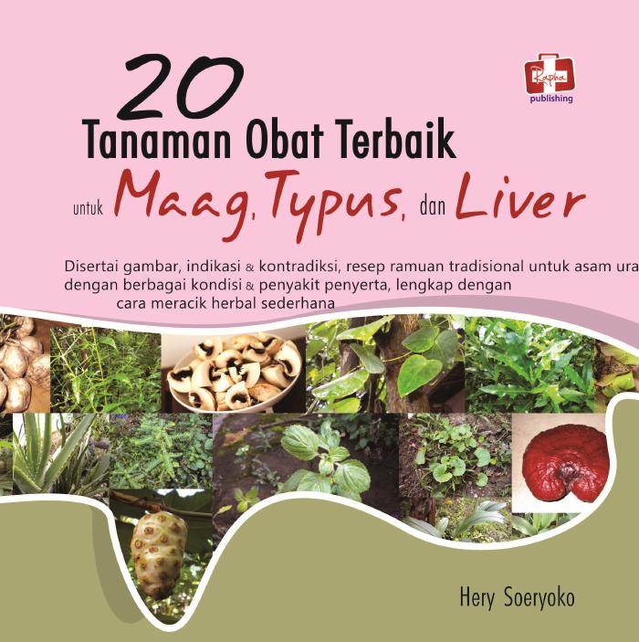20 Tanaman Obat Terbaik untuk Maag, Typus, dan Liver