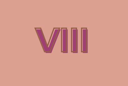 Kelas  VIII (8)